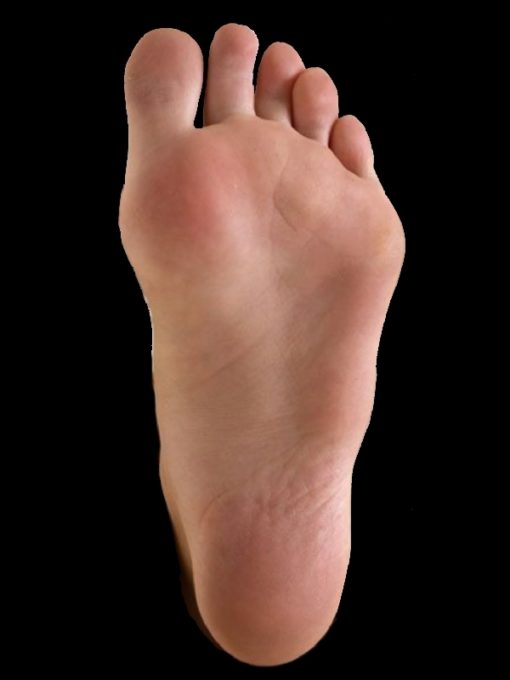 Fußfehlstellung Test Exclusive Schuh und