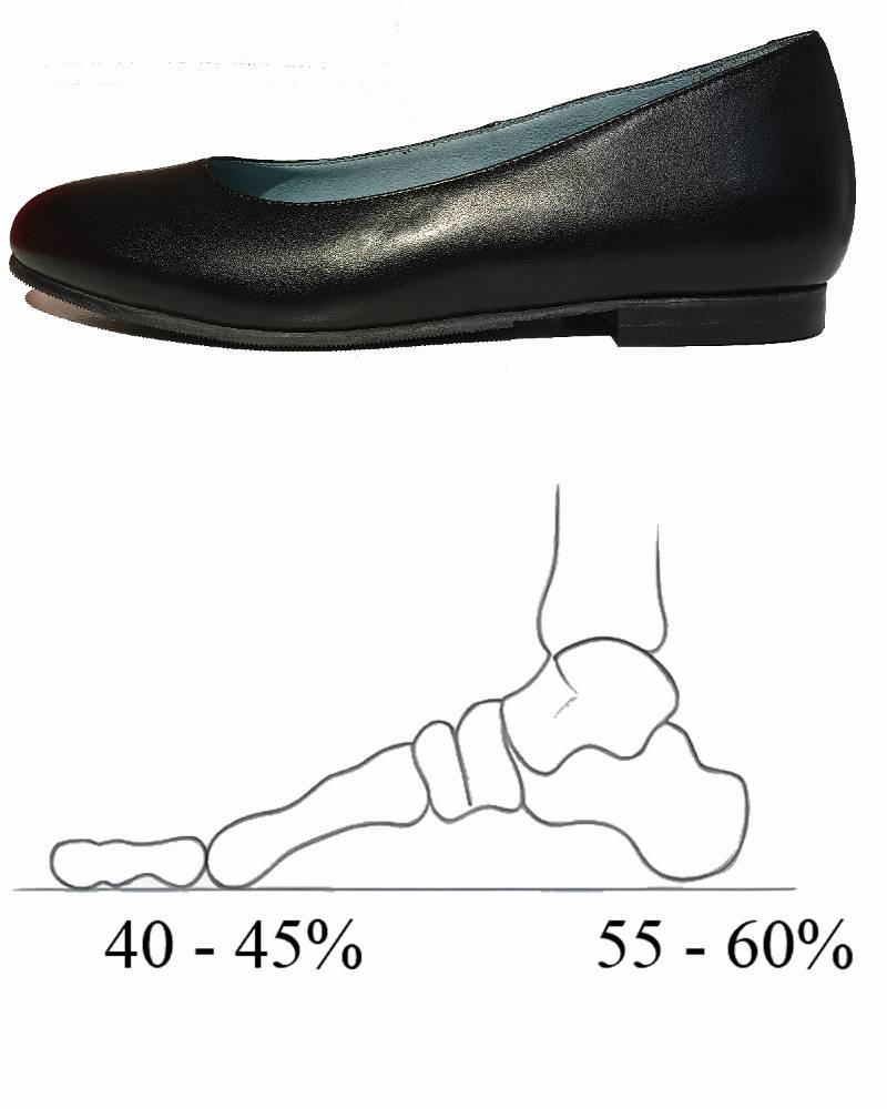 Ballerinaschuh und Fußskelett 